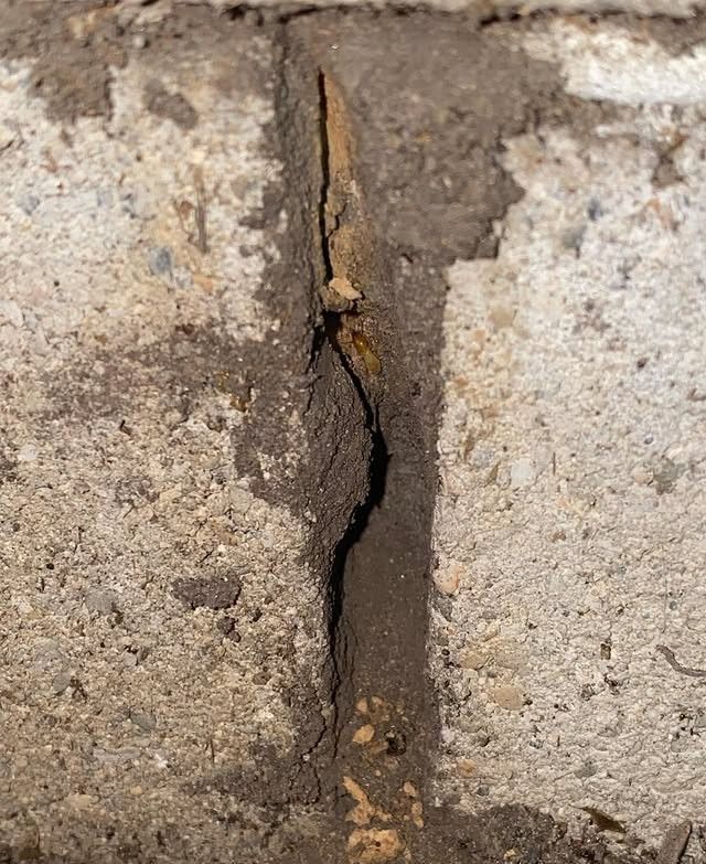 A Man in a Protective Suit is Spraying a Room With a Sprayer — Country to Coast Pest Control In Woolgoolga, NSW