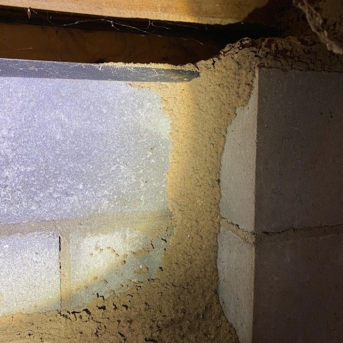 A Close Up of a Brick Wall With Termites Crawling on It — Country to Coast Pest Control In Macksville, NSW