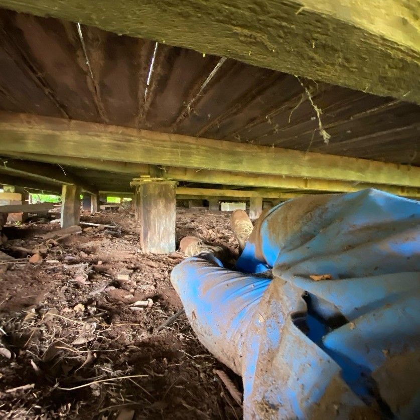 A Blue Tarp is Laying on the Ground Under a Wooden Structure — Country to Coast Pest Control In Nambucca, NSW