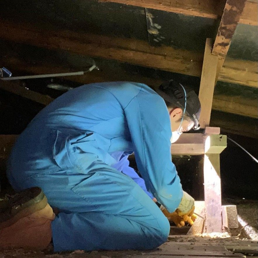 A Man in a Blue Jumpsuit is Working on a Wooden Structure — Country to Coast Pest Control In Sawtell, NSW