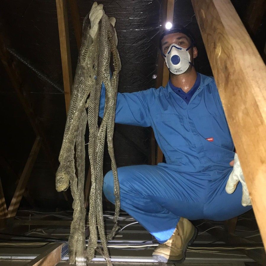 A Man Wearing a Mask is Holding a Rope — Country to Coast Pest Control In Valla Beach, NSW