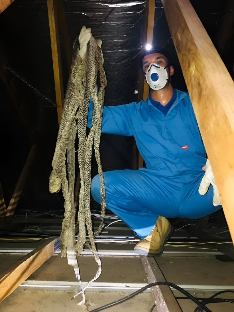 A Man Wearing a Mask is Kneeling Down in an Attic — Country to Coast Pest Control In Sawtell, NSW