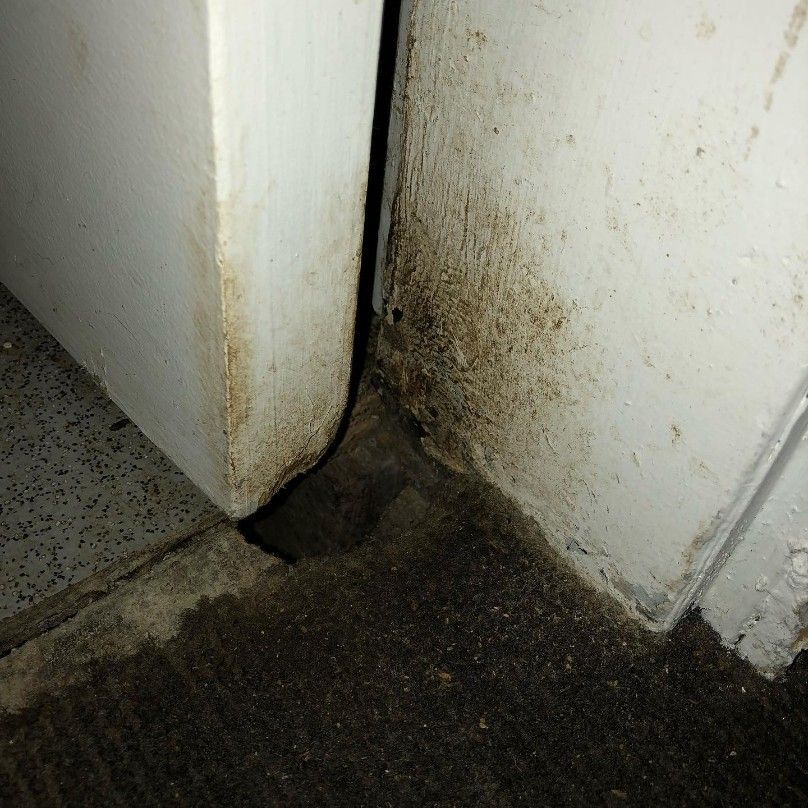A Dirty Corner of a Room With a Door and a Carpet — Country to Coast Pest Control In Woolgoolga, NSW
