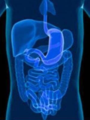 Una radiografía azul del estómago y los intestinos de una persona.