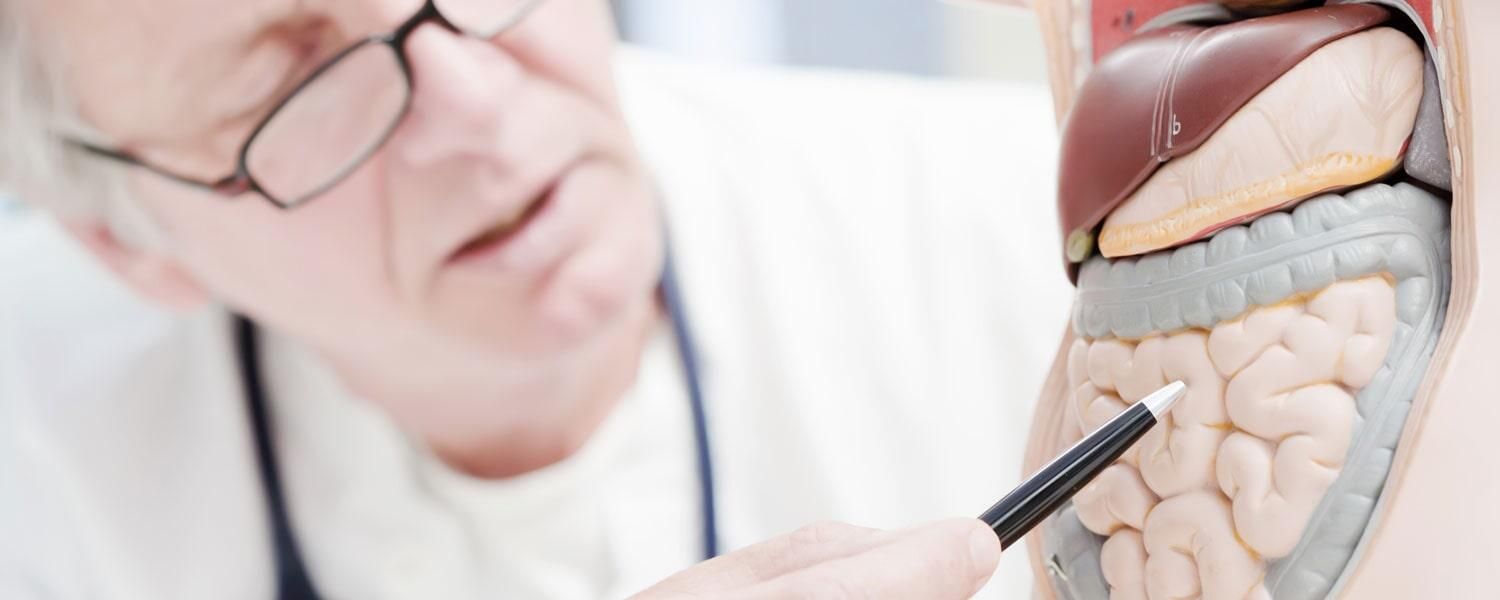 Un médico está dibujando un diagrama del estómago de una persona con un lápiz.