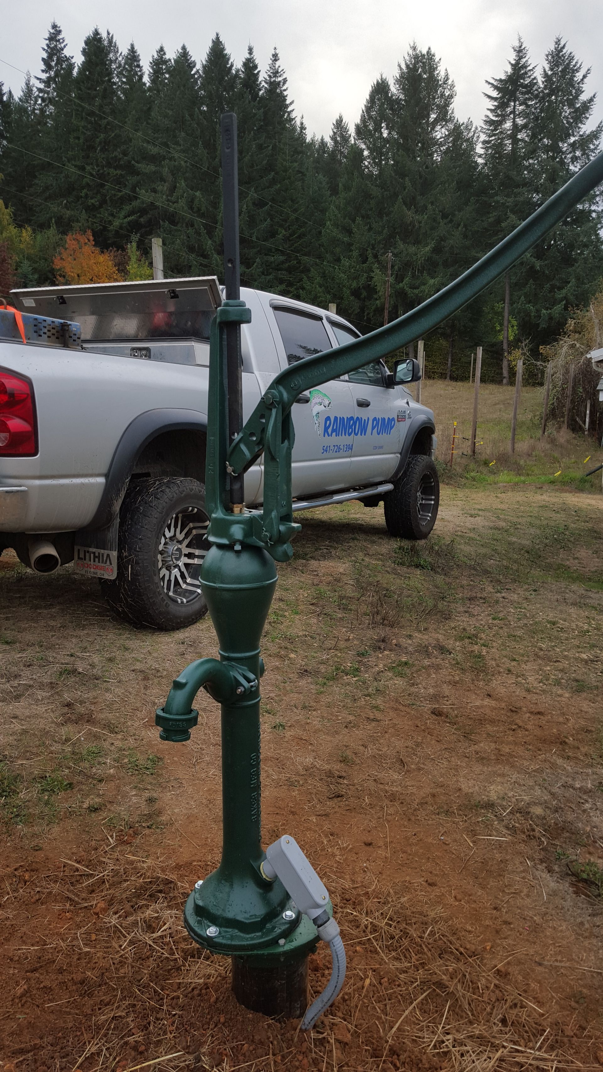 Green hand-operated water pump in a grassy field with trees in the background.