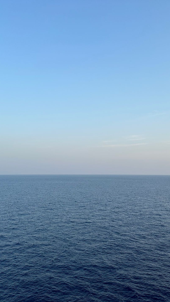 A woman is sitting at a desk with a laptop and a vase of flowers.