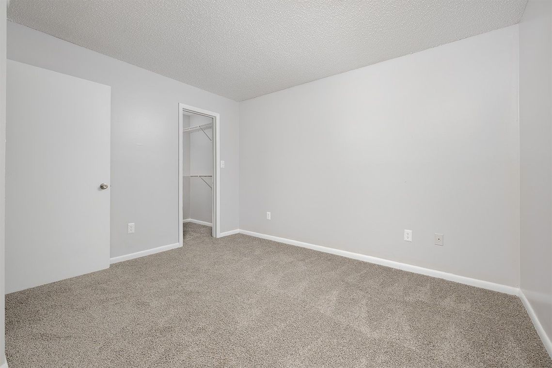 Empty bedroom with light gray walls, beige carpet, and an open closet.