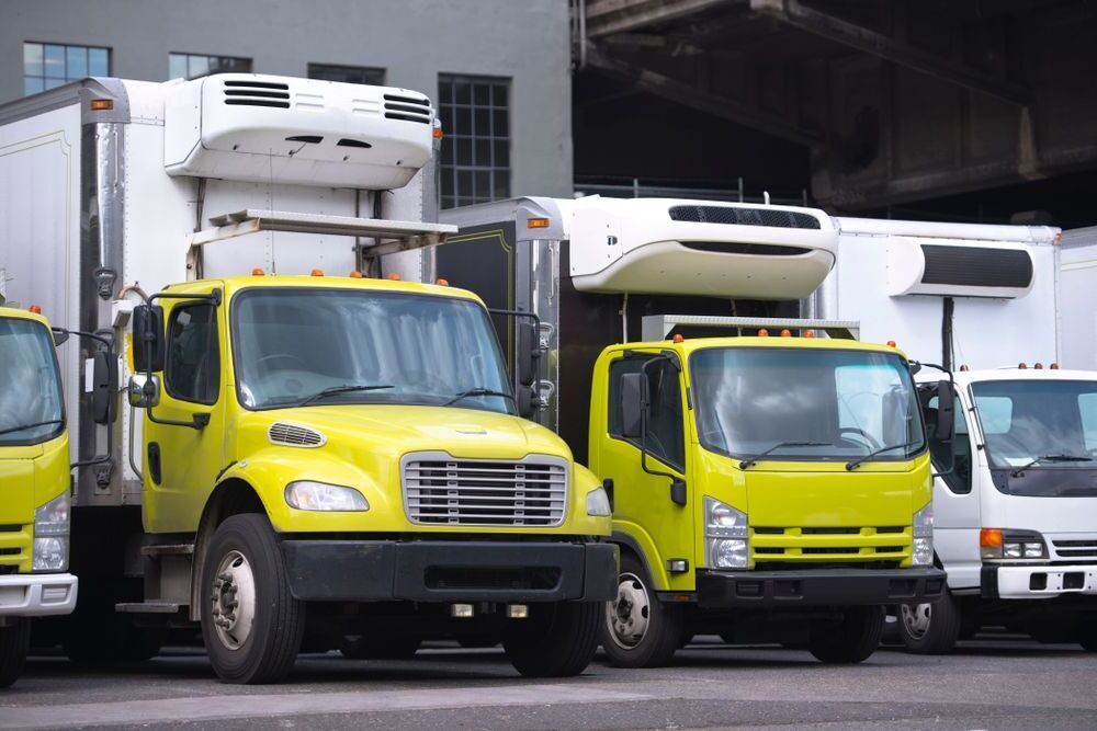 A Row of Yellow and White Trucks Are Parked in Front of a Building — FNQ Furniture Removals in Mission Beach, QLD