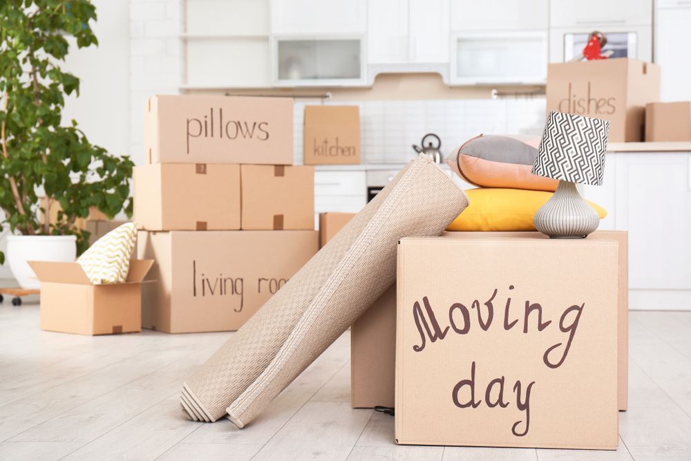 A Living Room Filled With Boxes and a Sign That Says Moving Day — FNQ Furniture Removals in Ingham, QLD