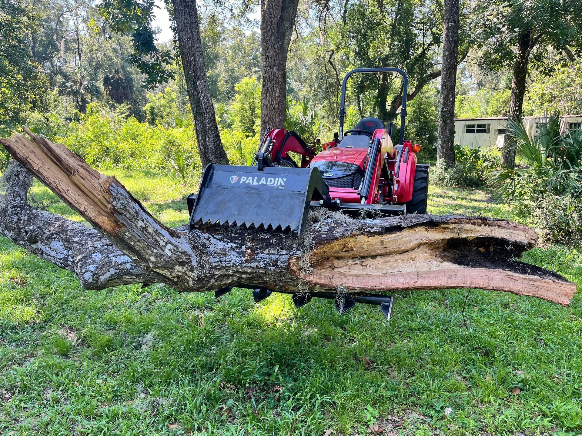 A tractor is cutting a large tree branch in the grass.