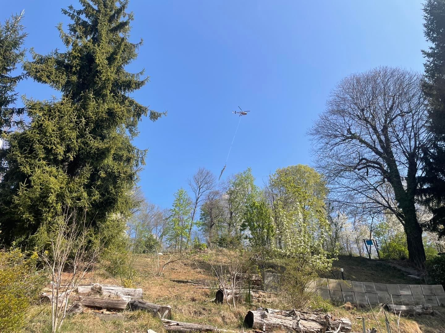 realizzazione giardino