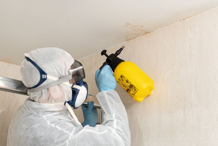 Person in protective suit spraying wall with yellow pesticide bottle.