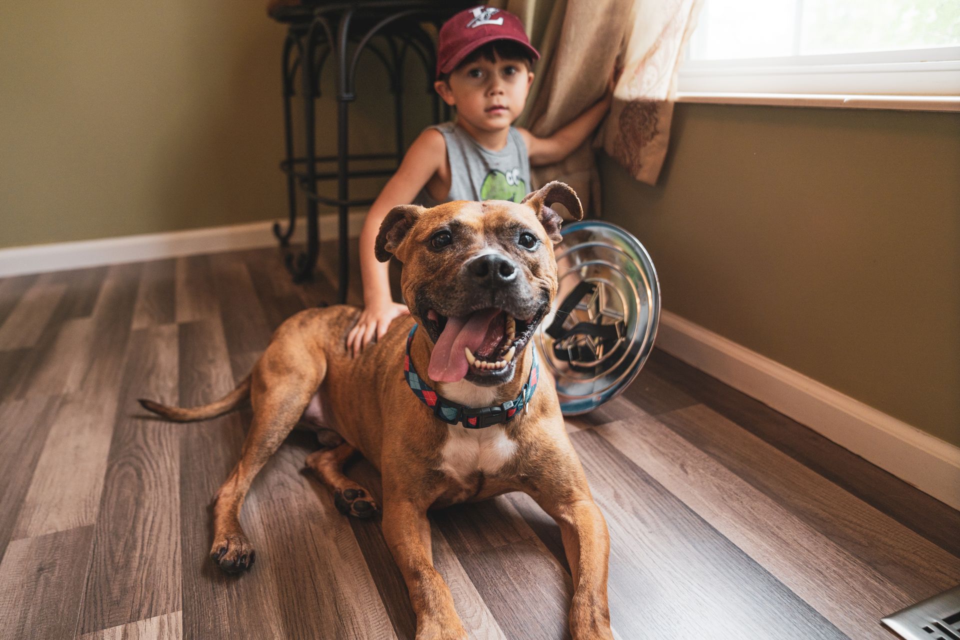 A boy is sitting on the floor next to a dog.