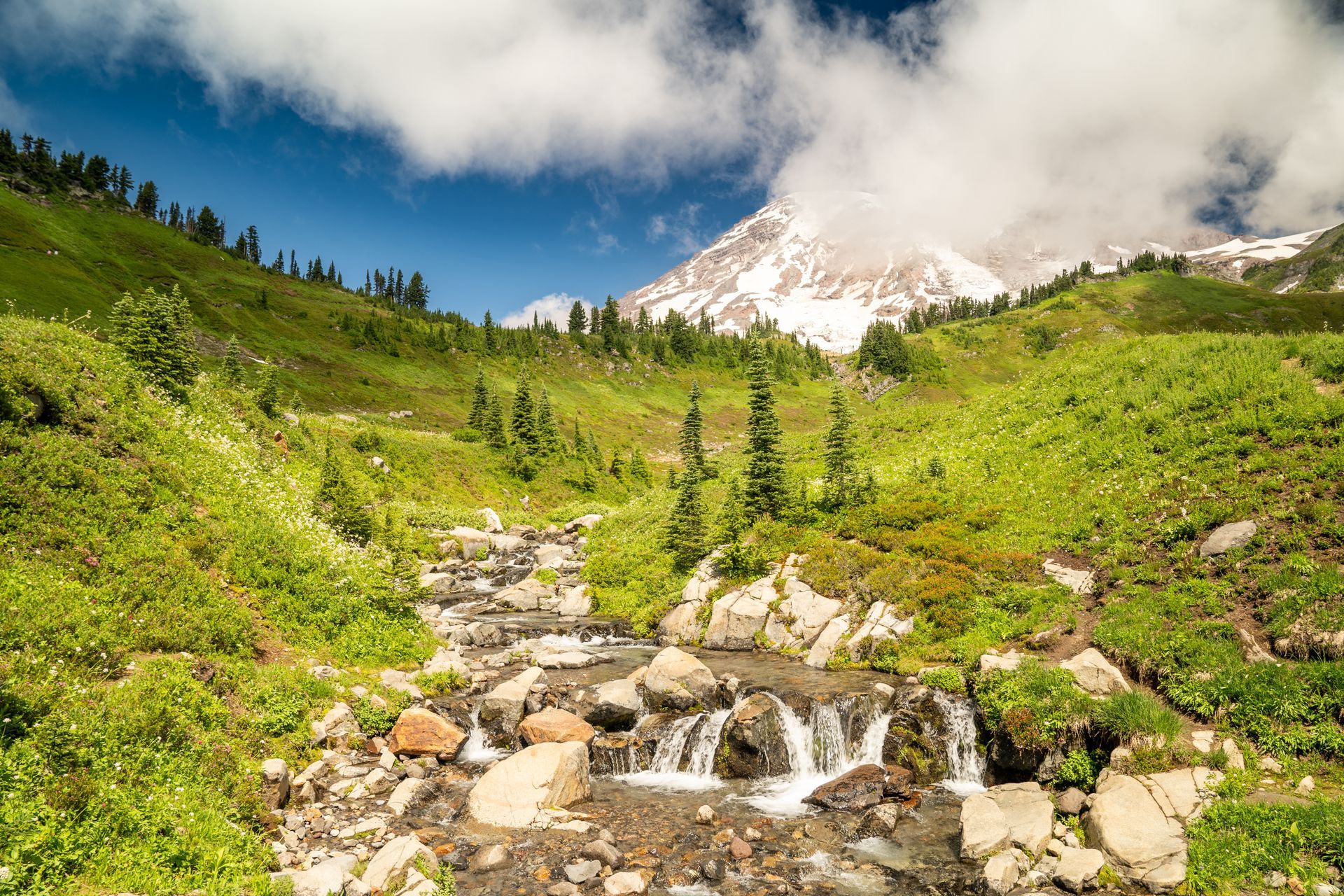 A stream running through a lush green field with a mountain in the background.