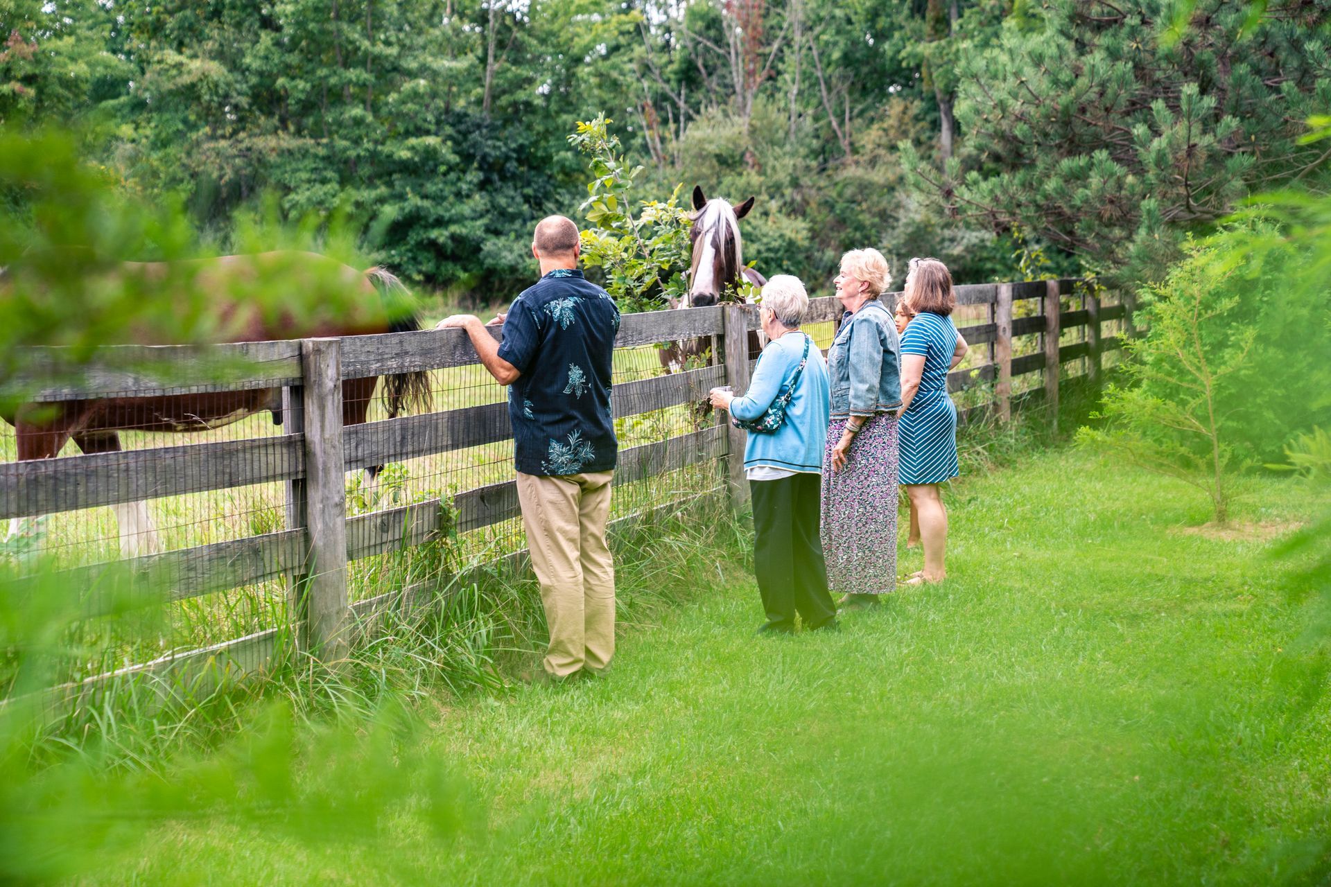 A group of people are petting a horse behind a wooden fence.