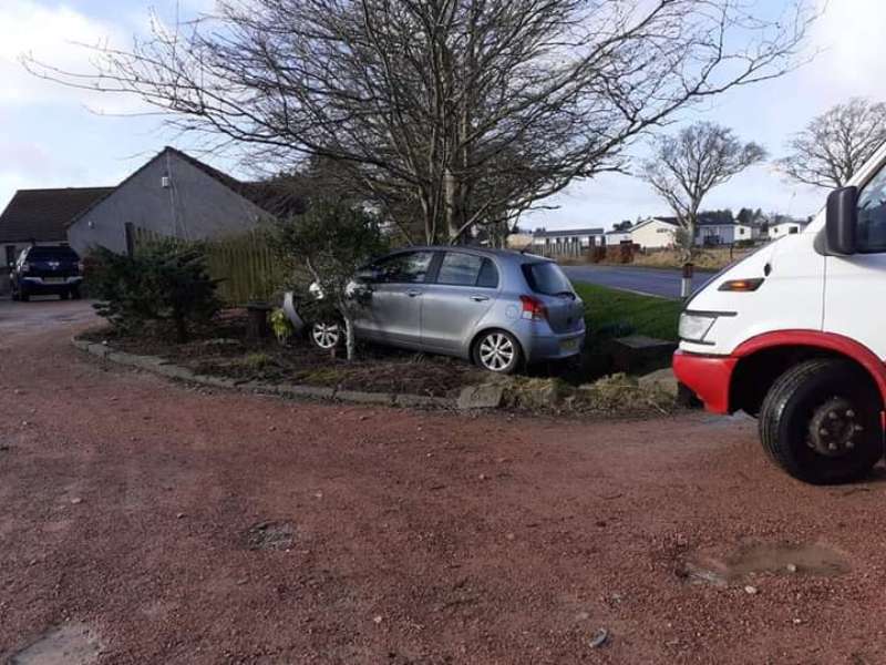 car in bushes