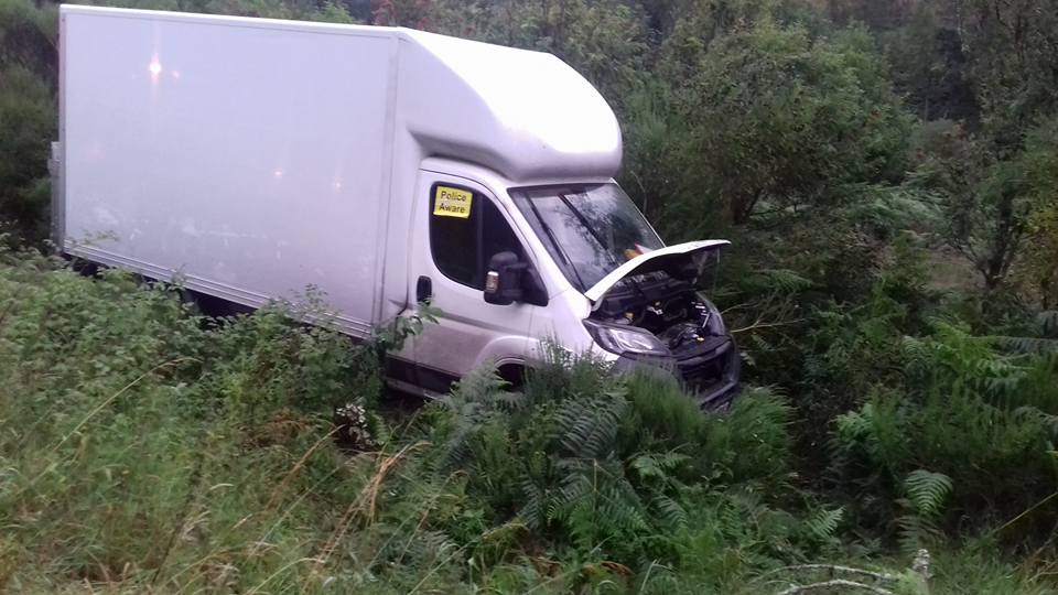 automobile in bushes