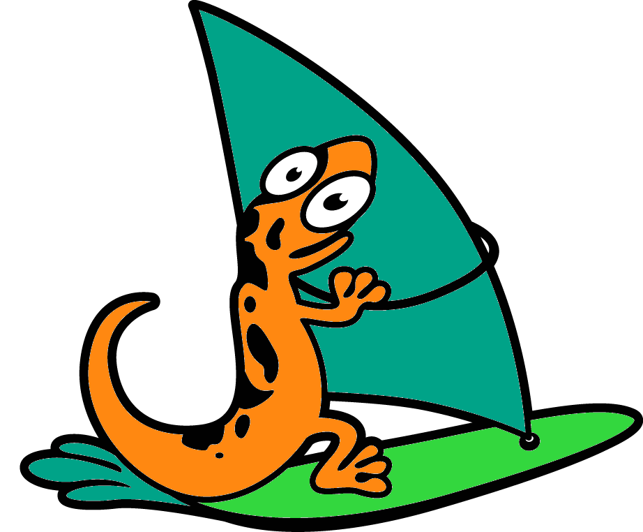 Review windsurf gecko windsurfschool