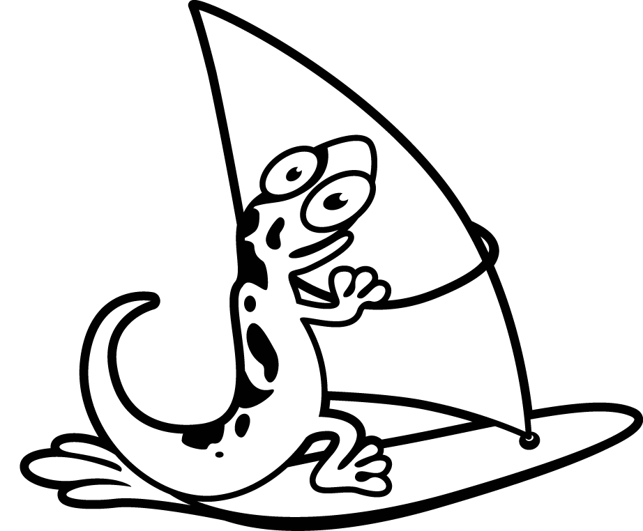 gecko windsurf fuerteventura windsurfschool