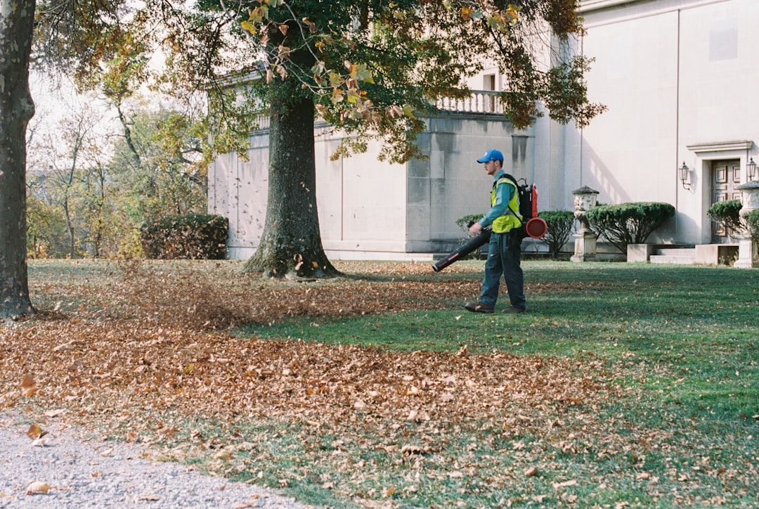 affordable yard clean up - affordable yard clean up