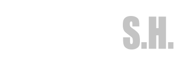 Futuro FH logo en colores blanco y gris