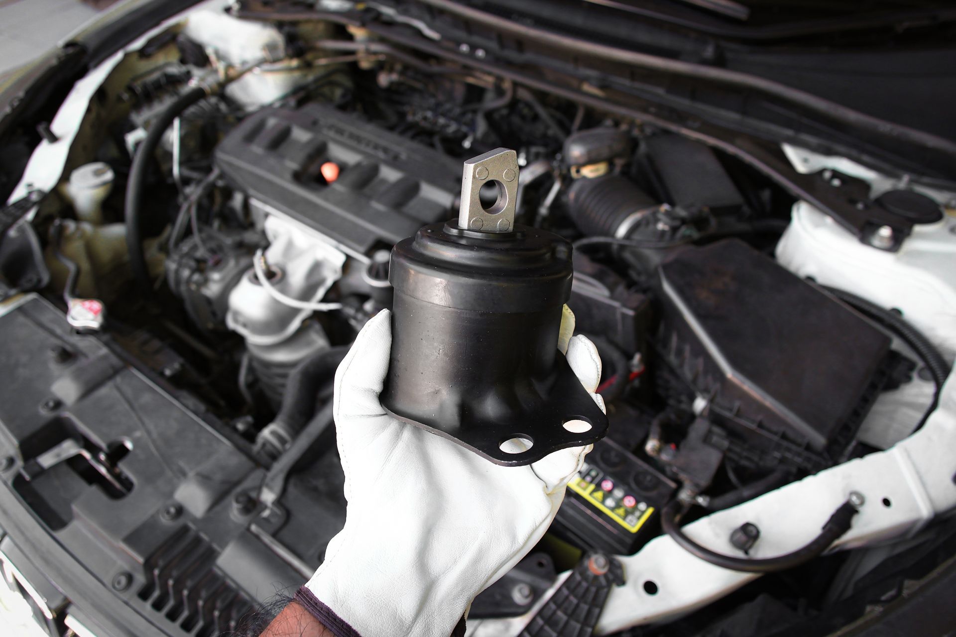 Motor Mount Repair in Carrollton, TX | Euro Auto Repair