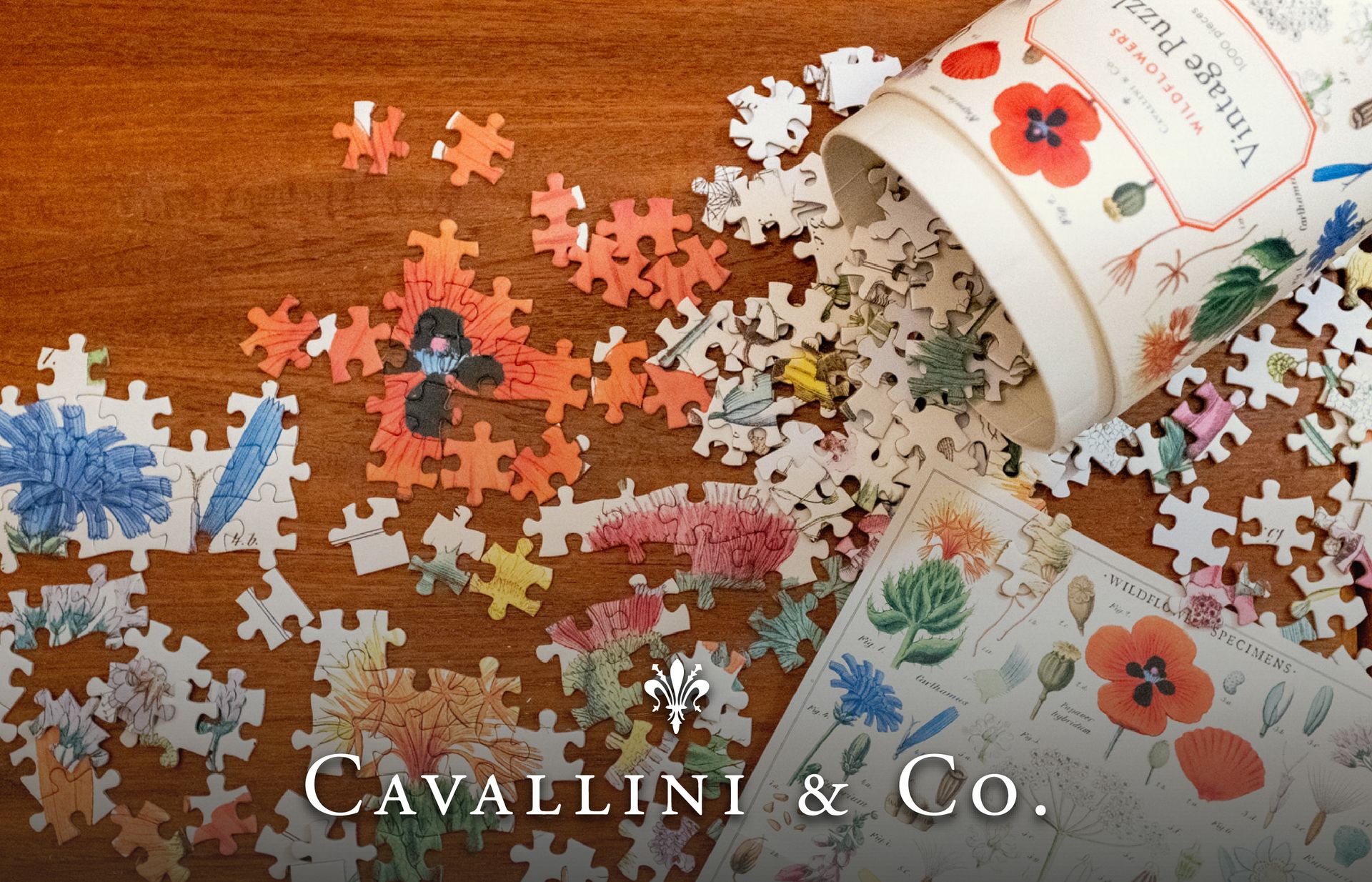 Puzzles Cavallini