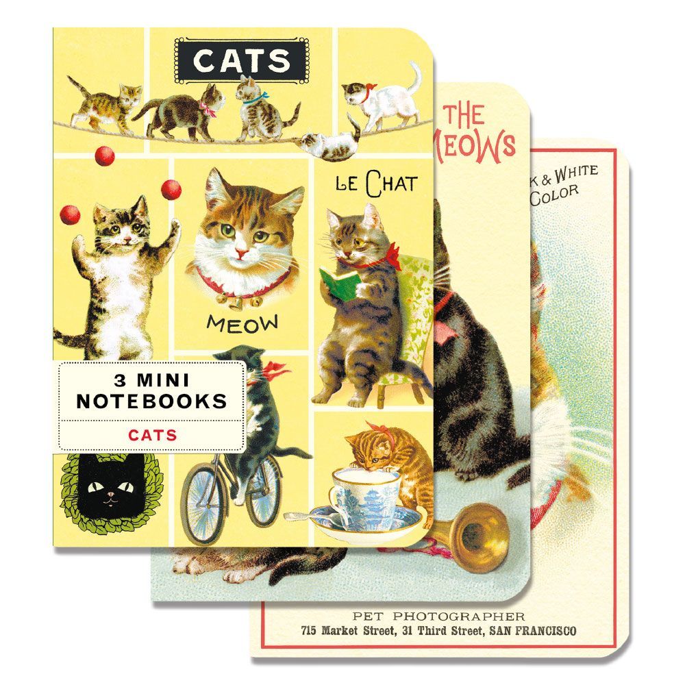 Mini Caderno Cats (10X14cm)