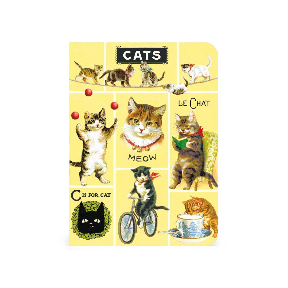 Mini Caderno Cats (10X14cm)