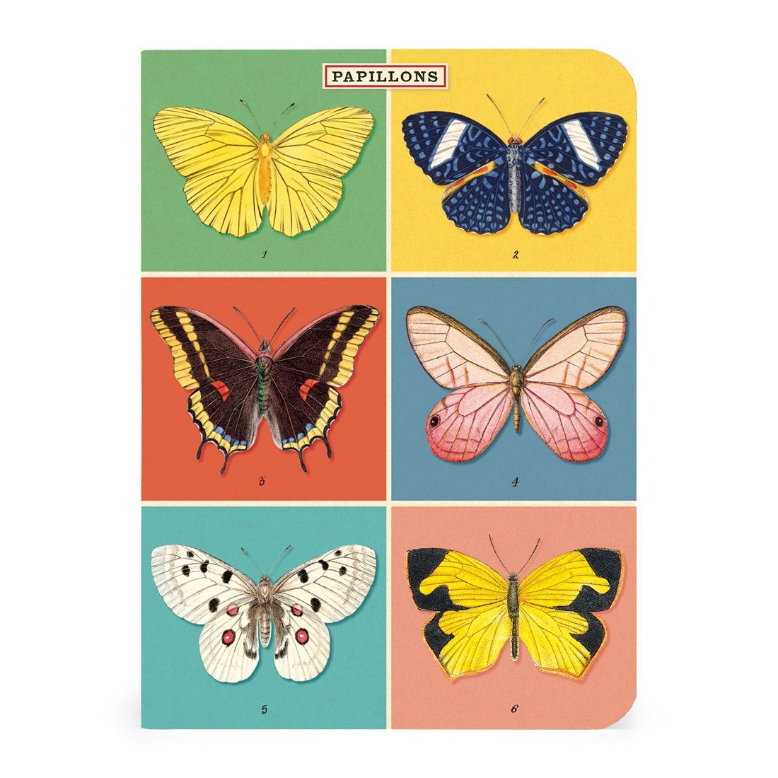 Mini Caderno Butterflies (10X14cm)