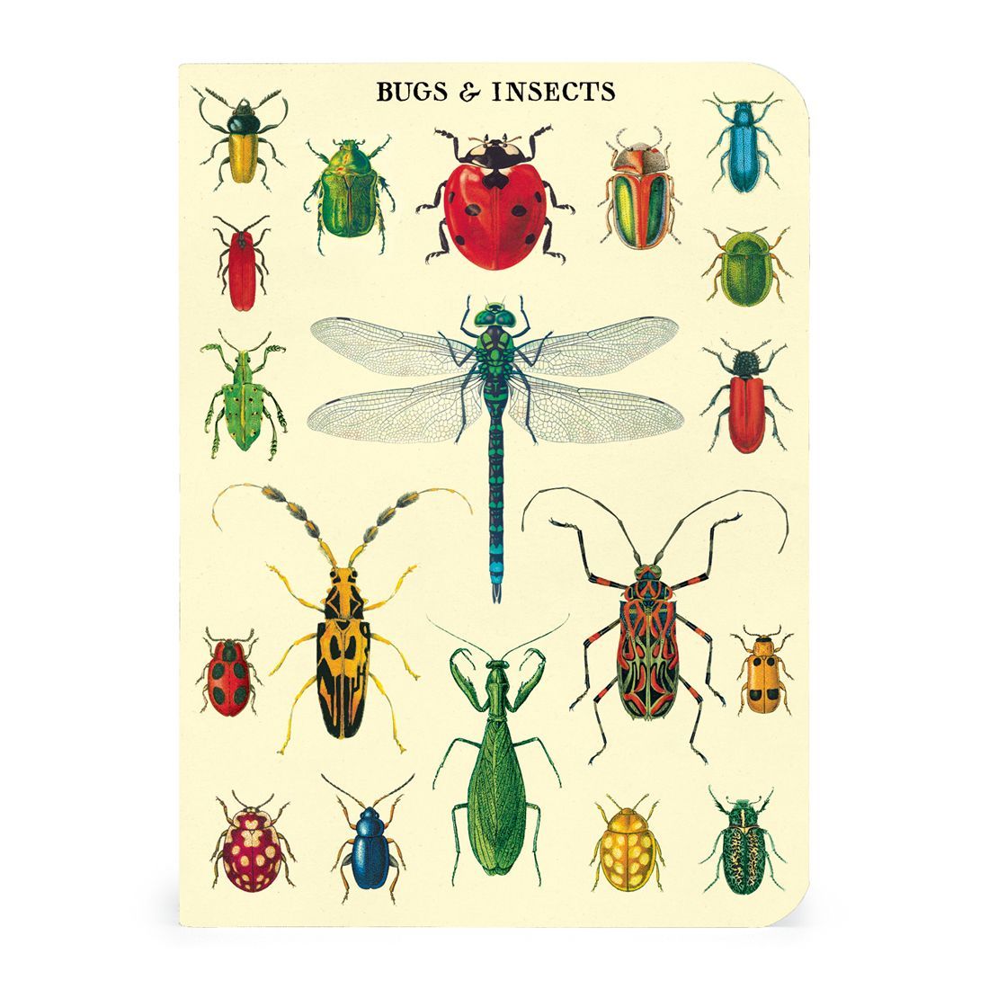 Mini Caderno Bugs & Insects (10X14cm)