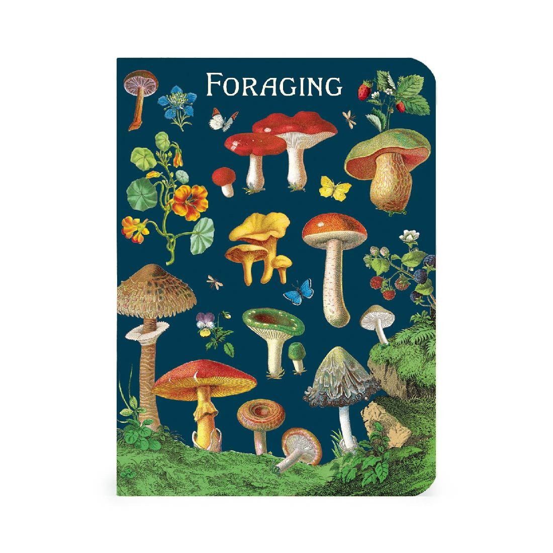 Mini Caderno Foraging (10X14cm)