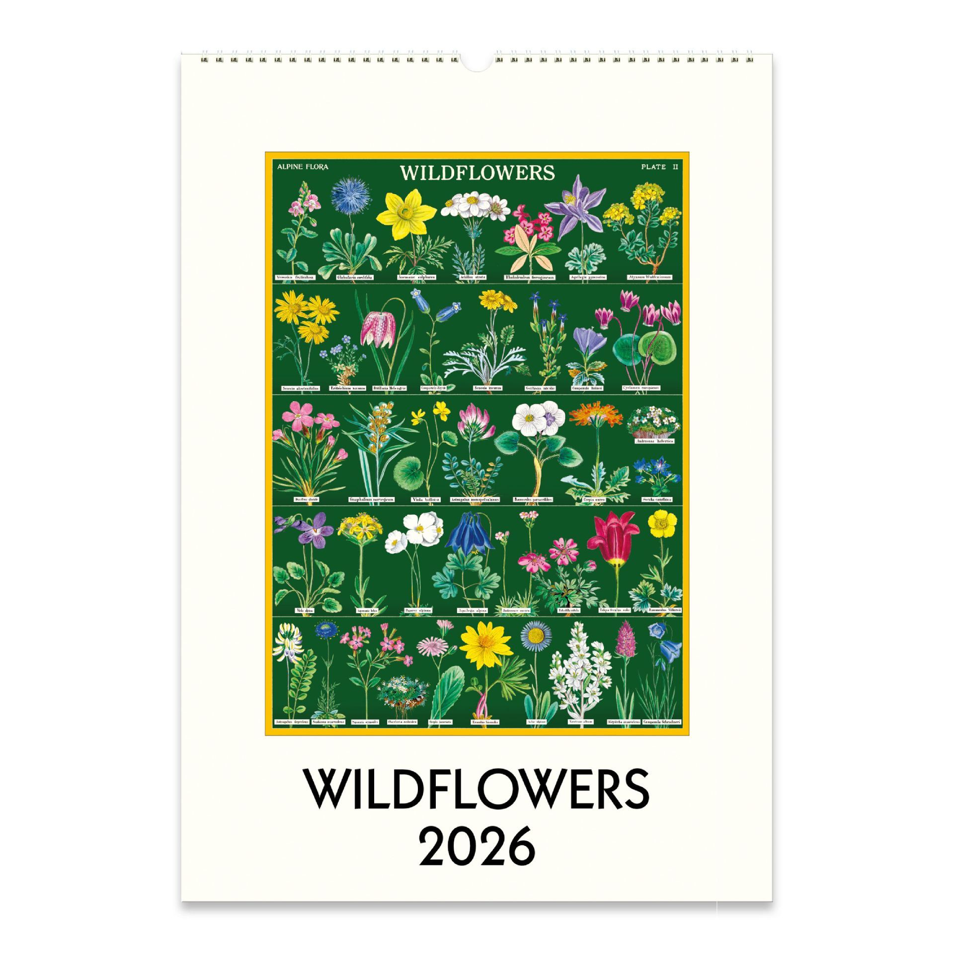 Calendário de Parede Cavallini Wildflowers 2026
