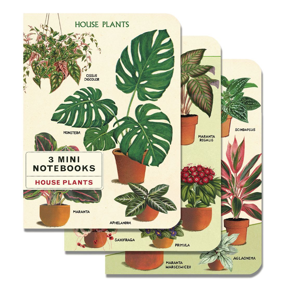 Mini Caderno House Plants