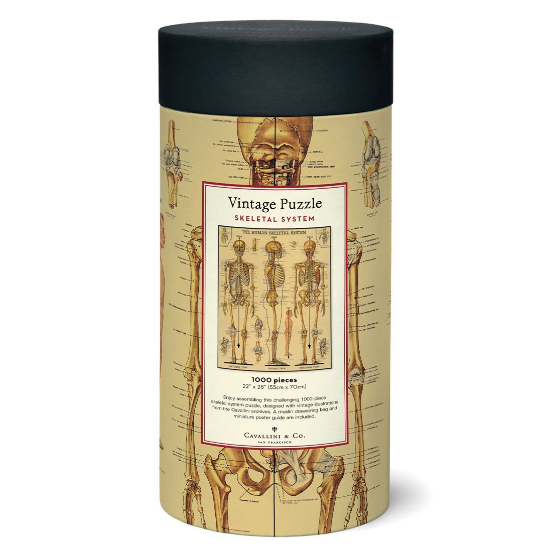 Puzzle Skeletal System 1000 Peças (55X70cm)