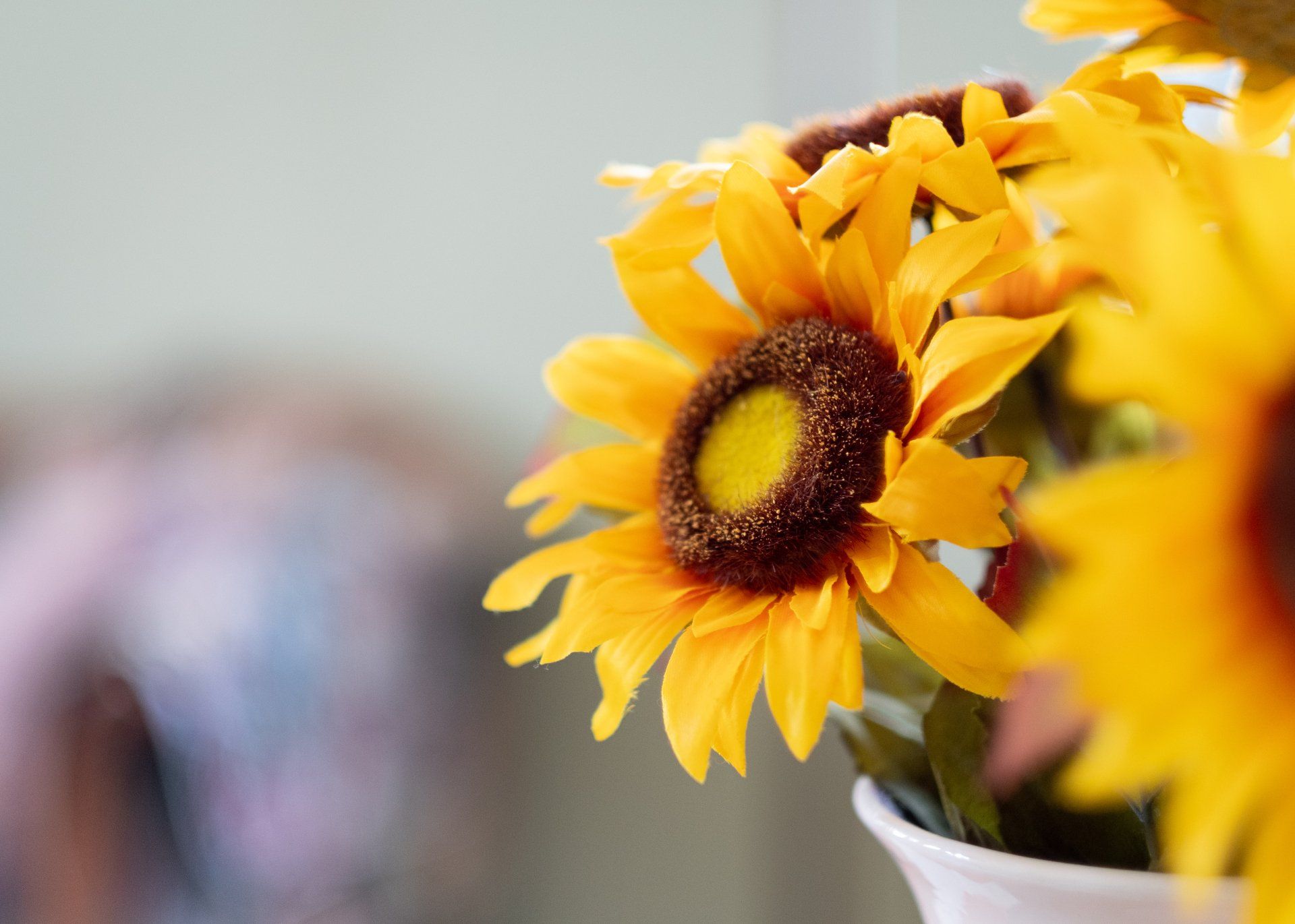 sunflowers