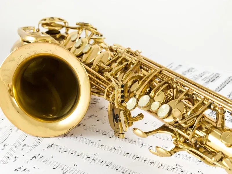 Image of a person teaching another person the saxophone.