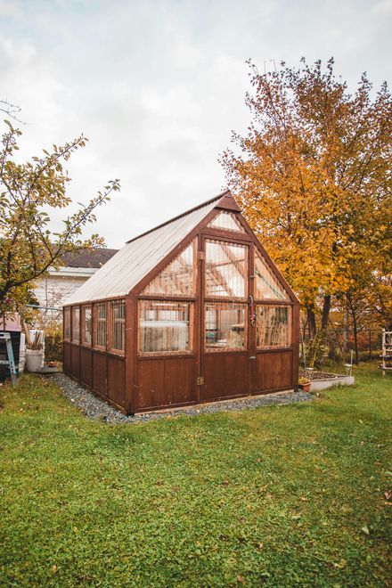 shed in a backyard