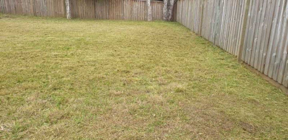 An area with a wooden fence and a lot of grass.