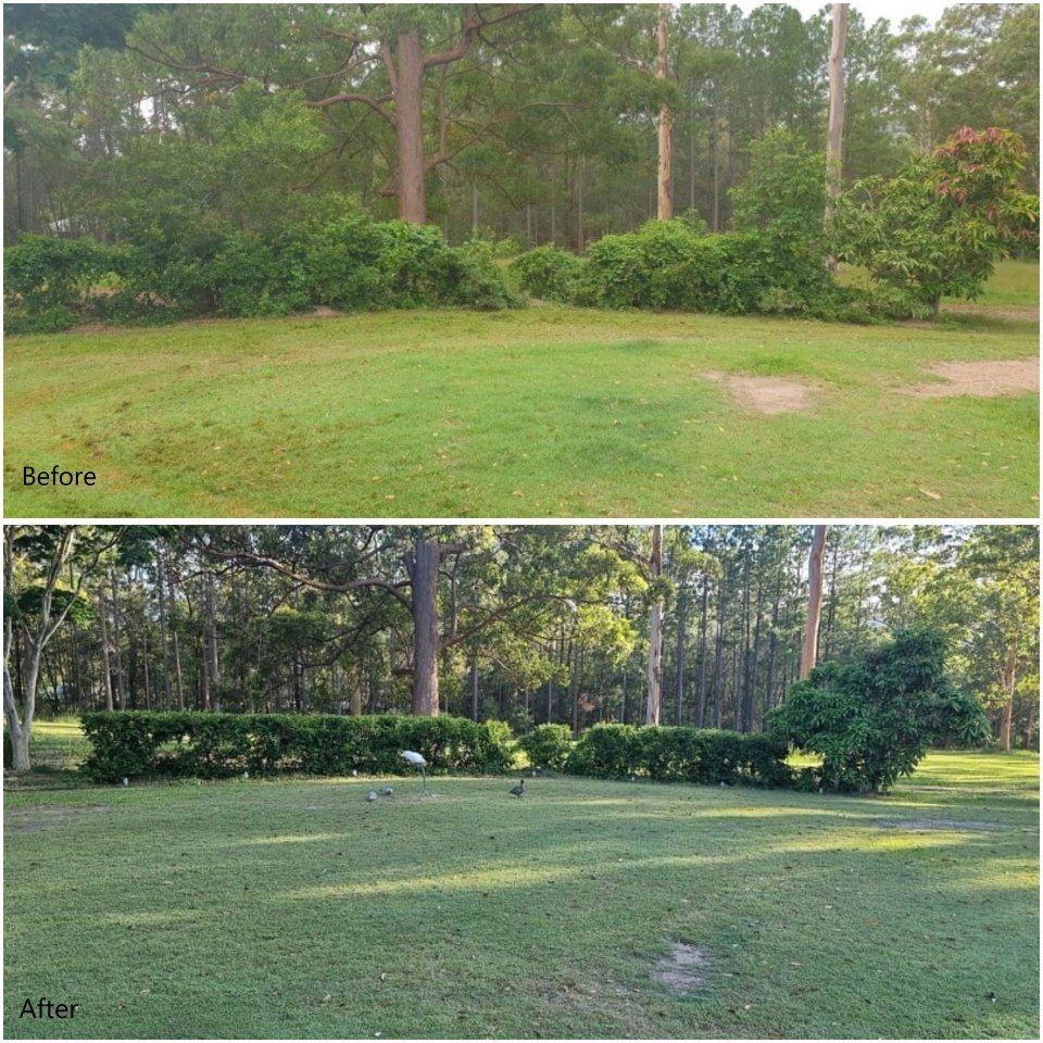 A before and after photo of a lush green field
