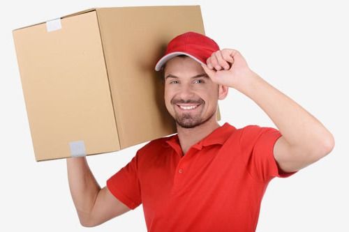 Expert mover with carton