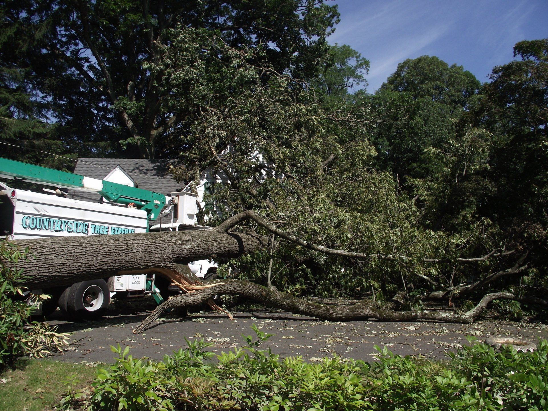 Storm Damage Cleanup — High Bridge, NJ — Countryside Tree Experts