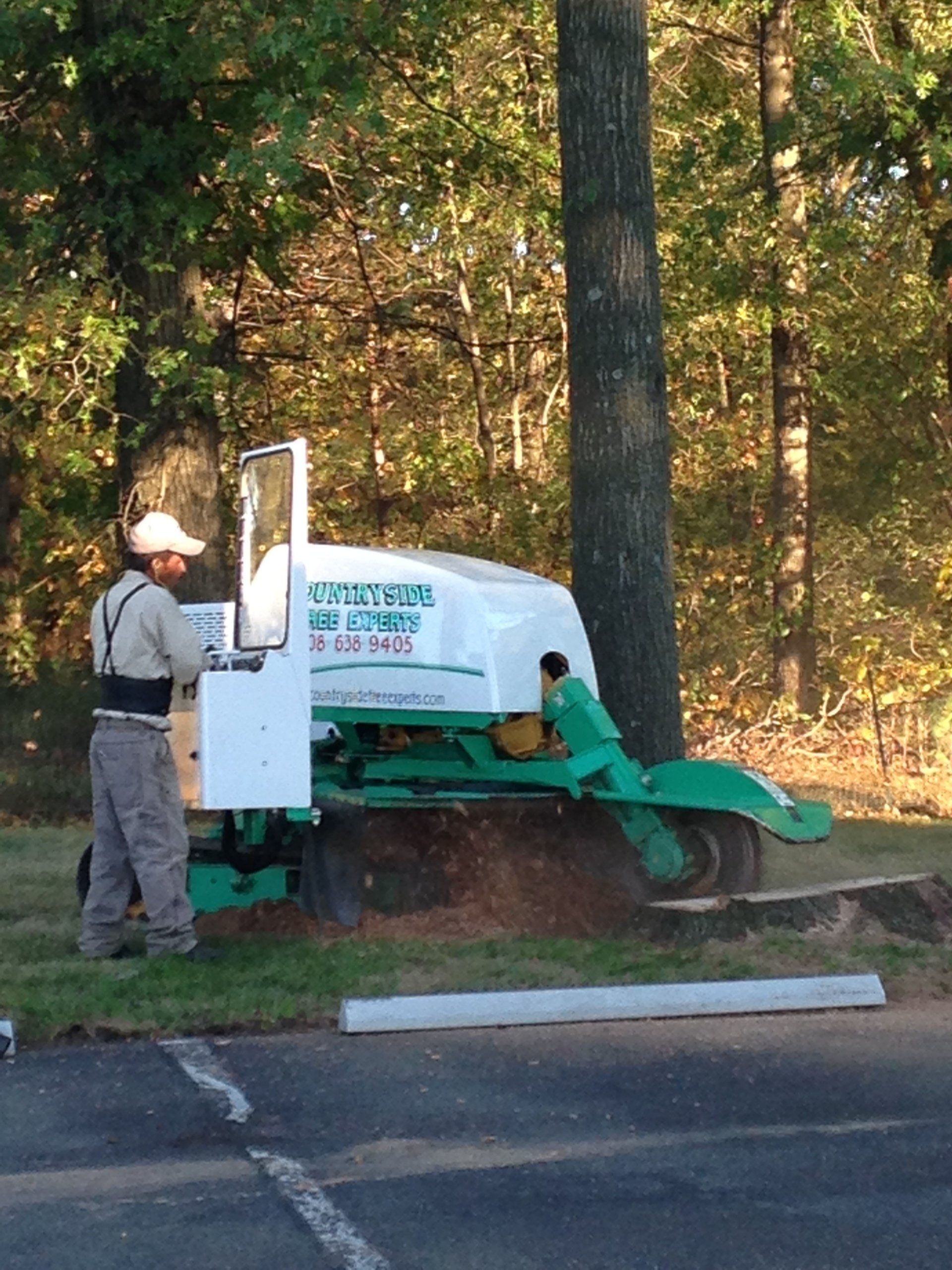 Tree Stump Removal — High Bridge, NJ — Countryside Tree Experts