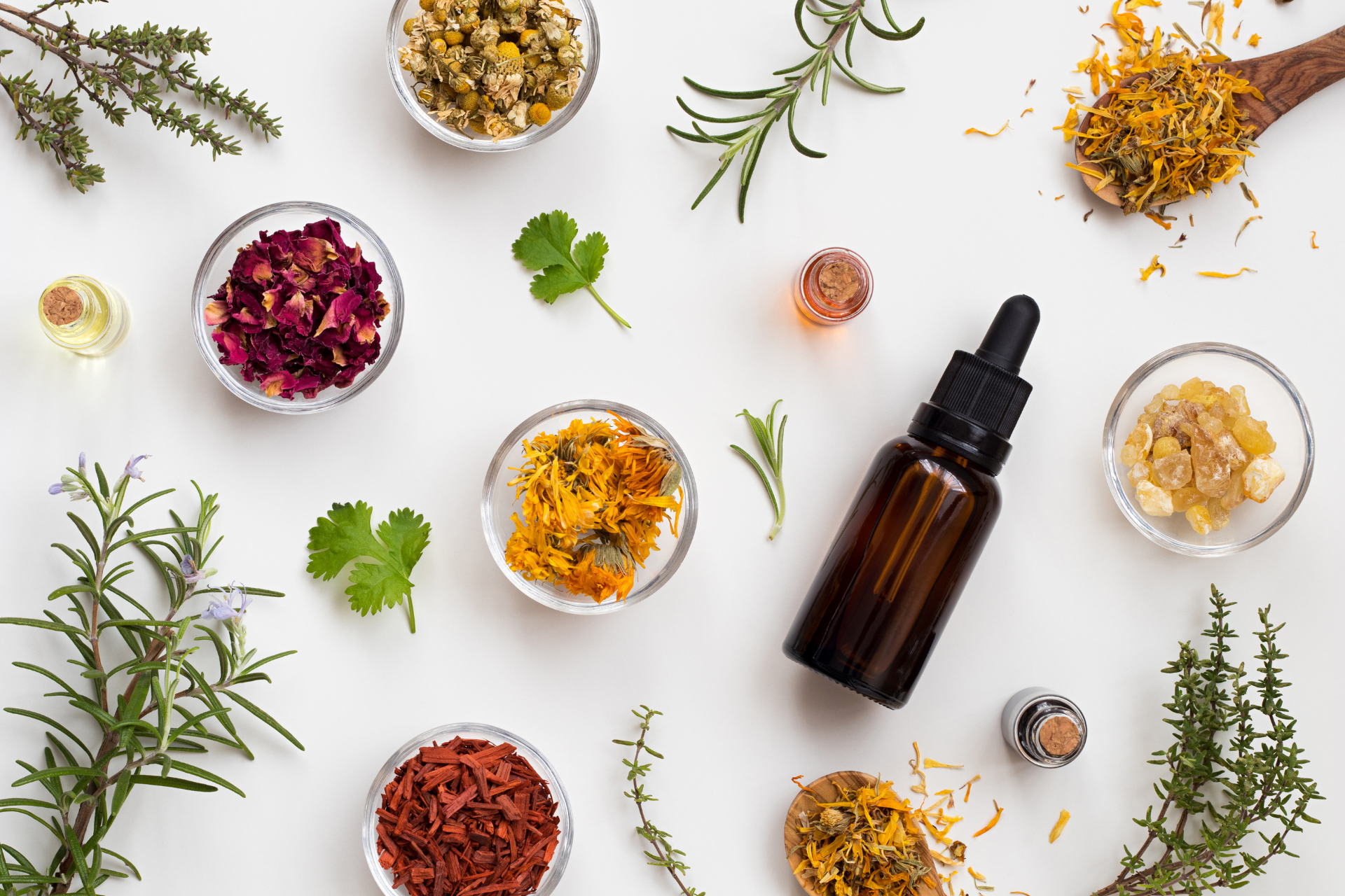 A bottle of essential oil surrounded by bowls of herbs and spices.