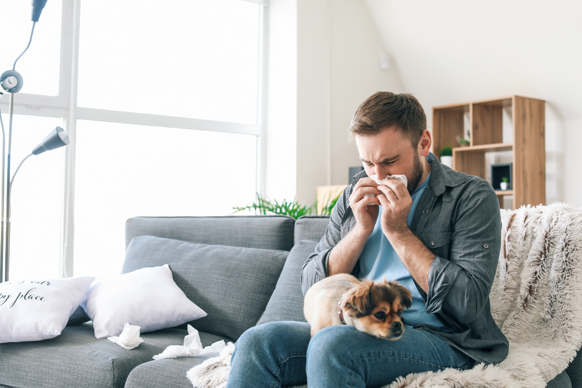 A man is sitting on a couch with a dog and blowing his nose.