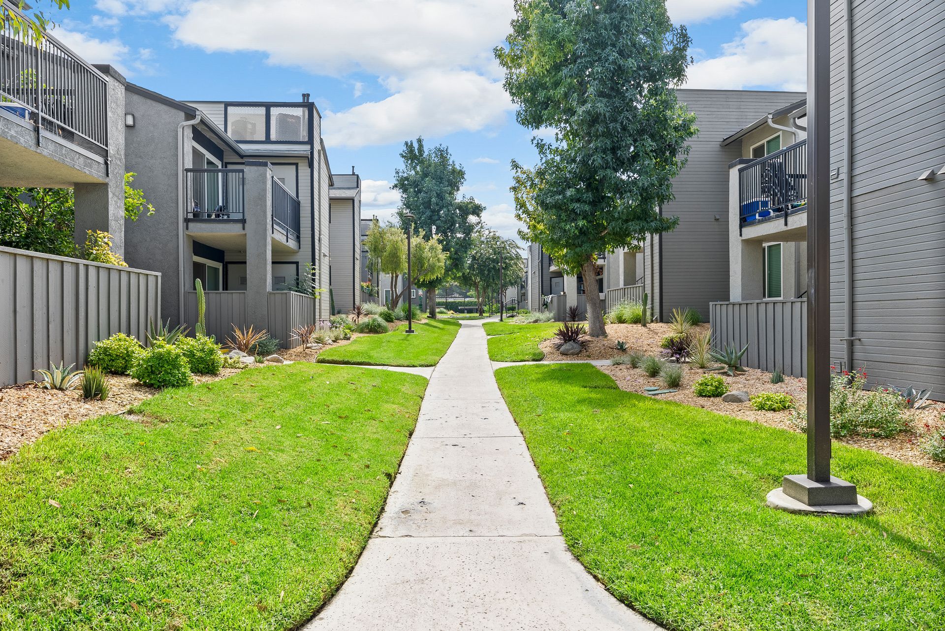 The James sidewalk and grass
