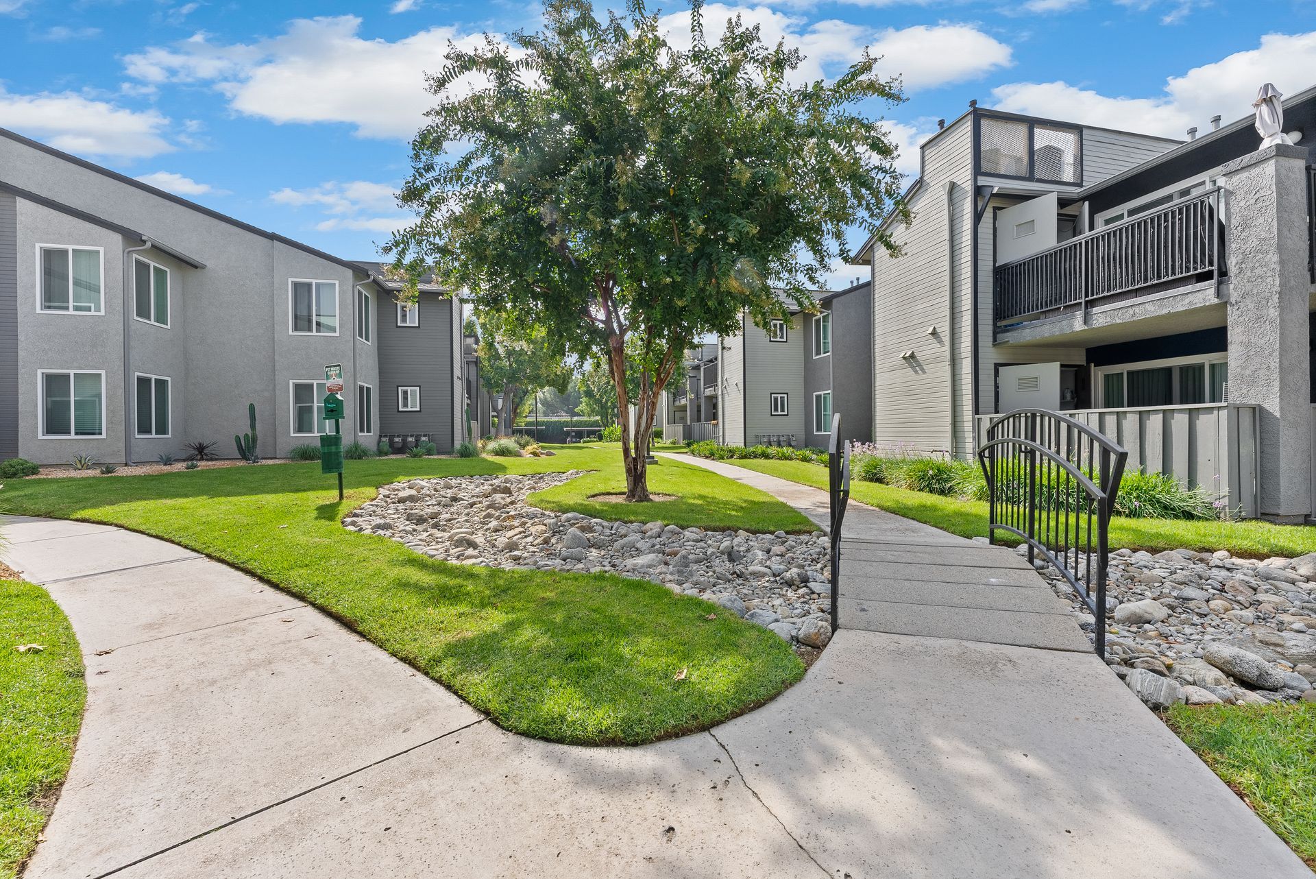 The James sidewalks and large green tree