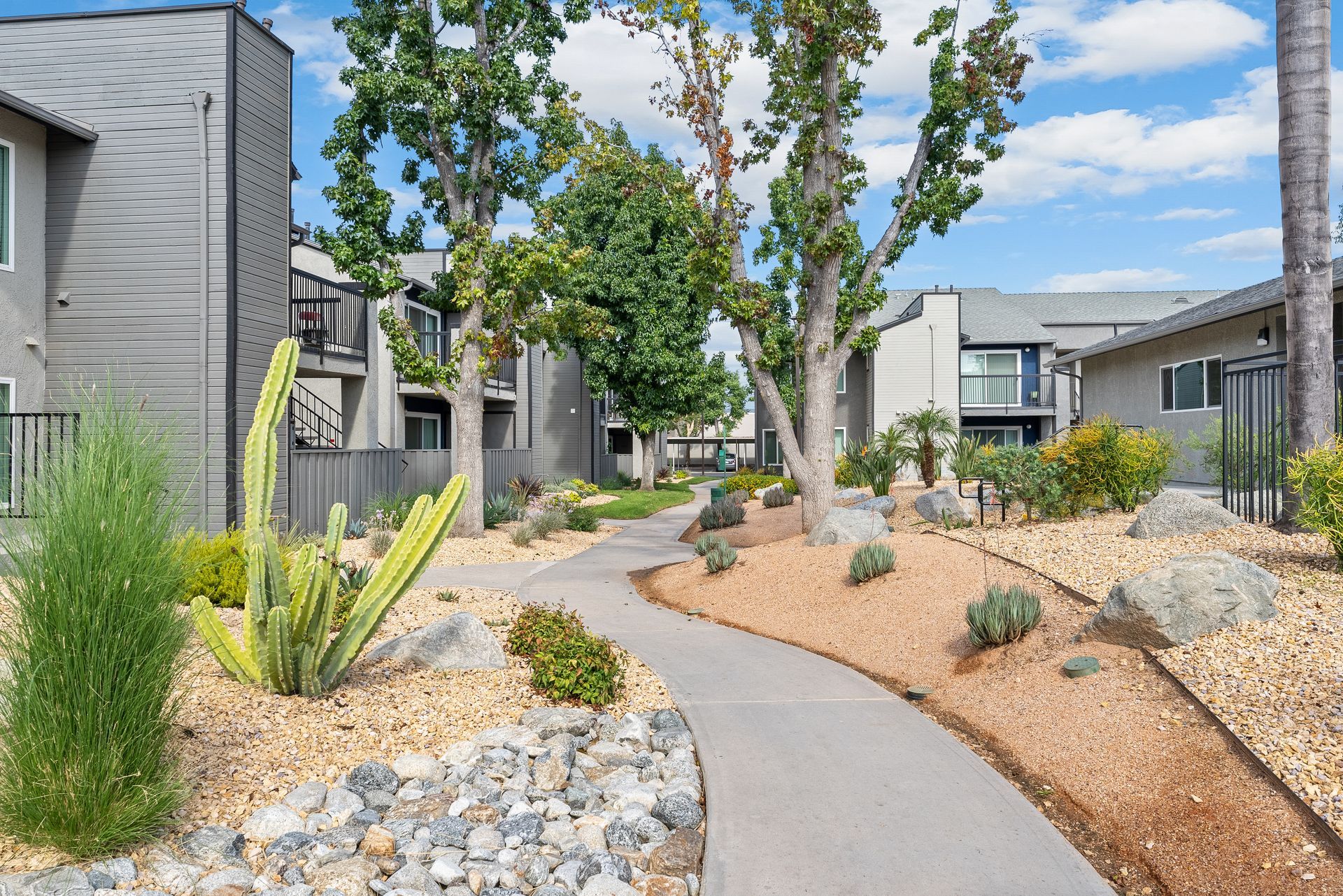 The James landscaping rocks and plants