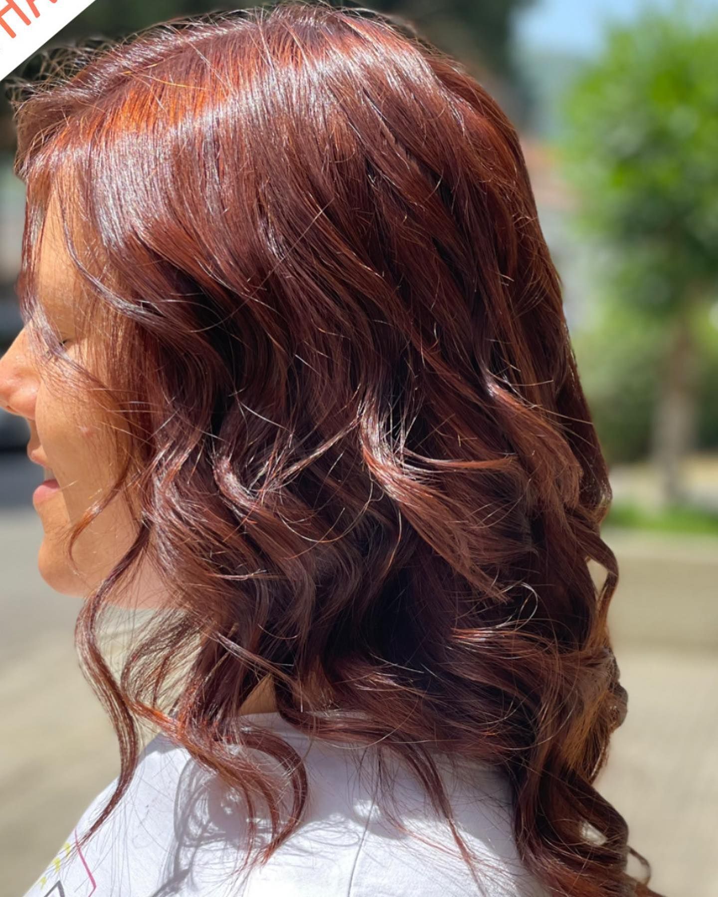 Tagliati x Il Successo by iacopo firenze